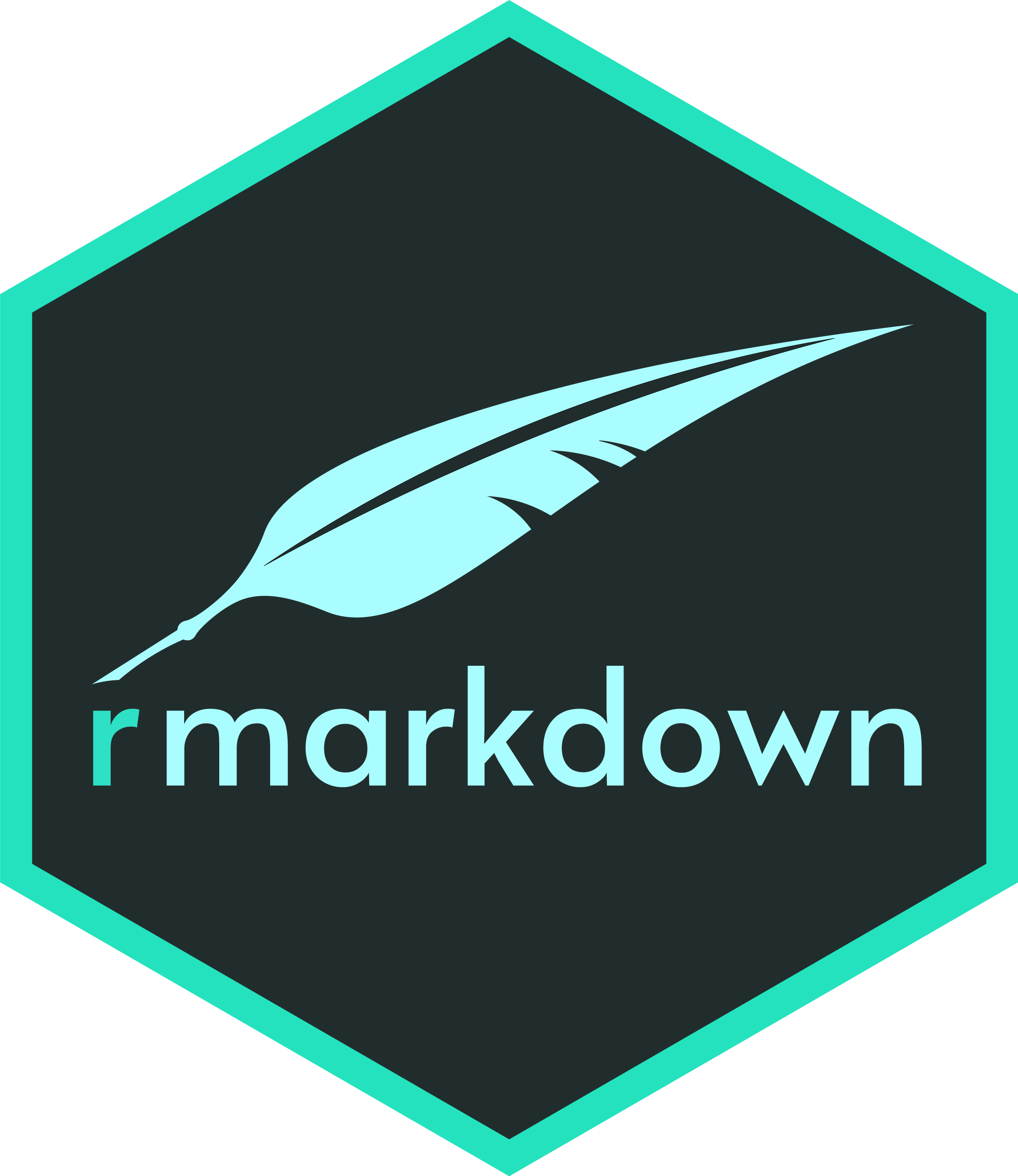 R Markdown Icon